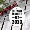 Designsify Christmas Tree Decoration, Software Engineer Established EST. 2023, Circle Ornament, Gifts for Birthday Anniversary Valentines Mom Mothers Fathers Day Party, to Men Women Him Her view 3