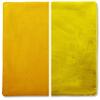22" x 22" Cover Only Throw Pillowcase Reversible - Gold Rush: 2 PCS / 4 Sided. Luxurious, Microsuede/Microplush Fabric - Softest / High Thread Count - Washable - Outstanding Beauty & Comfy view 1