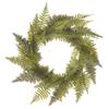 SilksAreForever 24" Artificial Mixed Fern Leaf Wreath -Green (Pack of 2) view 1