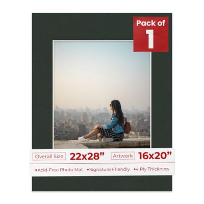 Poster Palooza 22x28 Mat for 16x20 Photo - Precut Textured Black Picture Matboard for Frames Measuring 22 x 28 Inches - Bevel Cut Matte to Display Art Measuring 16 x 20 Inches - Acid Free ONE MAT