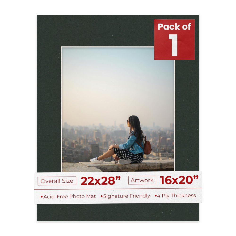 Poster Palooza 22x28 Mat for 16x20 Photo - Precut Textured Black Picture Matboard for Frames Measuring 22 x 28 Inches - Bevel Cut Matte to Display Art Measuring 16 x 20 Inches - Acid Free ONE MAT