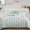 Home Soft Things Mayfair Printed Microfiber Quilts Coverlet 6 Piece Bed Spread Set, Oversized King 122" x 106", Light Green(Lime Mint) Soft Lightweight Reversible Bedding Set, Matching Shams Pillows view 3