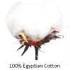 Black Fitted Sheet {1 Pcs} Bottom Sheet Full Extra Long - 54" x 80" Fits Mattress Perfectly Extra Deep 19" Inches- Soft Quality- 600 TC Egyptian Cotton (Stripe Pattern) view 3