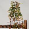 QIAOH Eucalyptus Garland 5 Pack, Spring Artificial Greenery Garland,Fake Vines Hanging Plants Faux Wedding Backdrop Arch Wall Greenery Decor for Home Wedding Party Mantle Table Decor view 2