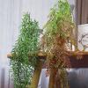 QIAOH Eucalyptus Garland 5 Pack, Spring Artificial Greenery Garland,Fake Vines Hanging Plants Faux Wedding Backdrop Arch Wall Greenery Decor for Home Wedding Party Mantle Table Decor view 4