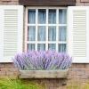30 Bundles Artificial Lavender Outdoor UV Resistant Fake Lavender Flowers No Fade Faux Plastic Plants 15 inch Greenery Stems Decor for Indoor Outside Vase Bouquet Garden Porch Home Wedding (Purple) view 3