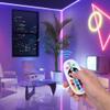 Yescom BiLume RGBW 110-120V AC LED Neon Rope Light Remote Controller view 2