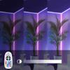 Yescom BiLume RGBW 110-120V AC LED Neon Rope Light Remote Controller view 3