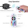 Yescom BiLume RGBW 110-120V AC LED Neon Rope Light Remote Controller view 4
