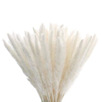 homeemoh 15 Pcs Dried Pampas Grass 17.7" Natural Pampas Grass Bouquet Fluffy Stem Bouquet for Flower Arrangements and Weddings,White