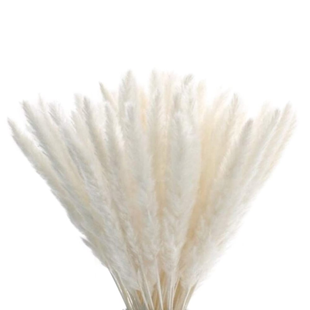homeemoh 15 Pcs Dried Pampas Grass 17.7" Natural Pampas Grass Bouquet Fluffy Stem Bouquet for Flower Arrangements and Weddings,White
