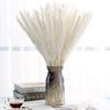 homeemoh 15 Pcs Dried Pampas Grass 17.7" Natural Pampas Grass Bouquet Fluffy Stem Bouquet for Flower Arrangements and Weddings,White view 2