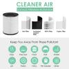 HSIAMEN Filter Compatible with Cool-Living CL-6070A Tredy TD-1300 & Beaba view 4