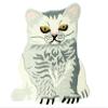 Exotic India Snow-White Cat Yogic Asana Mat from Mirzapur - Wool view 1