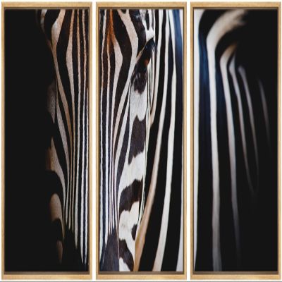 wall26 Framed Canvas Print Wall Art Set Close Up Portrait of African Zebra Animals Wildlife Realism Rustic Scenic Relax/Calm Nature Wilderness for Living Room, Bedroom, Office - 16"x24"x3 Natural