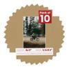 Pack of Ten Acid Free 8x11 Mats Bevel Cut for 5.5x8.5 Photos - Rattan Beige Precut Matboards With Backing Boards and Self Seal Photo Mat Bags For Pictures, Photos, Framing - 4-ply Thickness view 1