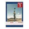 13x19 Mat Bevel Cut for 11.7x16.5 Photos - Acid Free Brooke Blue Suede Precut Matboard With Backing Board and Crystal Clear, Self Seal Photo Mat Bag - For Pictures, Photos, Framing - 4-ply Thickness view 1
