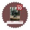 Pack of Ten Acid Free 8x11 Mats Bevel Cut for 5.5x8.5 Photos - Maroon Red Precut Matboards With Backing Boards and Self Seal Photo Mat Bags For Pictures, Photos, Framing - 4-ply Thickness view 1