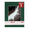 8.5x11 Mat Bevel Cut for 6x8 Photos - Acid Free Green Suede Precut Matboard With Backing Board and Crystal Clear, Self Seal Photo Mat Bag - For Pictures, Photos, Framing - 4-ply Thickness view 1