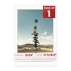 13x19 Mat Bevel Cut for 11.7x16.5 Photos - Acid Free Oyster Shell White Precut Matboard With Backing Board and Crystal Clear, Self Seal Photo Mat Bag - For Pictures, Photos, Framing - 4-ply Thickness view 1