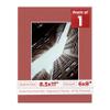 8.5x11 Mat Bevel Cut for 6x8 Photos - Acid Free Brick Red Precut Matboard With Backing Board and Crystal Clear, Self Seal Photo Mat Bag - For Pictures, Photos, Framing - 4-ply Thickness view 1