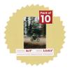 Pack of Ten Acid Free 8x11 Mats Bevel Cut for 5.5x8.5 Photos - Soft Yellow Precut Matboards With Backing Boards and Self Seal Photo Mat Bags For Pictures, Photos, Framing - 4-ply Thickness view 1