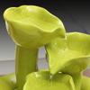 Rocky Falls Indoor Tabletop Water Fountain Tabletop Fountain Indoor Lotus Leaf Decoration Desktop Fountain Bedroom Living Room Decoration Desktop Fountain Serene Rock Water Feature Indoor Relaxation F view 4