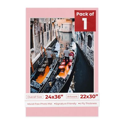 Poster Palooza 24x36 Mat Bevel Cut for 22x30 Photos - Acid Free Pink Precut Matboard - For Pictures, Photos, Framing - 4-ply Thickness