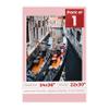 Poster Palooza 24x36 Mat Bevel Cut for 22x30 Photos - Acid Free Pink Precut Matboard - For Pictures, Photos, Framing - 4-ply Thickness view 1