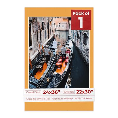 Poster Palooza 24x36 Mat Bevel Cut for 22x30 Photos - Acid Free Golden Orange Precut Matboard - For Pictures, Photos, Framing - 4-ply Thickness