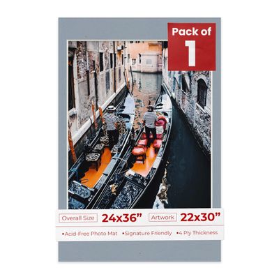 Poster Palooza 24x36 Mat Bevel Cut for 22x30 Photos - Acid Free Mid Grey Precut Matboard - For Pictures, Photos, Framing - 4-ply Thickness