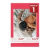 Poster Palooza 11x17 Mat Bevel Cut for 9.5x13 Photos - Acid Free Cardinal Red Precut Matboard - For Pictures, Photos, Framing - 4-ply Thickness view 1