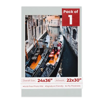 Poster Palooza 24x36 Mat Bevel Cut for 22x30 Photos - Acid Free Grey Precut Matboard - For Pictures, Photos, Framing - 4-ply Thickness