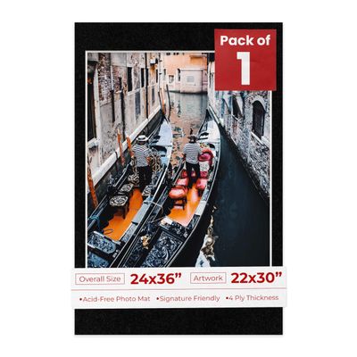 Poster Palooza 24x36 Mat Bevel Cut for 22x30 Photos - Acid Free Black with Black Core Precut Matboard - For Pictures, Photos, Framing - 4-ply Thickness
