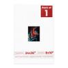 Poster Palooza 24x36 Mat Bevel Cut for 8x10 Photos - Acid Free Oyster Shell White Precut Matboard - For Pictures, Photos, Framing - 4-ply Thickness view 1
