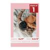 Poster Palooza 11x17 Mat Bevel Cut for 9.5x13 Photos - Acid Free Pink Precut Matboard - For Pictures, Photos, Framing - 4-ply Thickness view 1