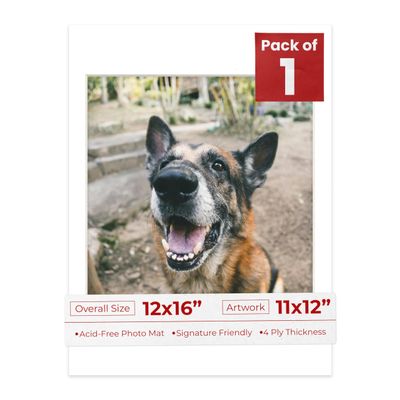 Poster Palooza 12x16 Mat Bevel Cut for 11x12 Photos - Acid Free Golf Ball Texture Precut Matboard - For Pictures, Photos, Framing - 4-ply Thickness