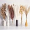 110 PCS Dried Pampas Grass Bouquet, Boho Table Decor, Bunny Tails Dried Flowers, Brown Pompas, White Pampas Grass for Wedding, Home, Rustic Party, Baby Shower Decorations view 1