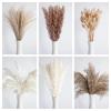 110 PCS Dried Pampas Grass Bouquet, Boho Table Decor, Bunny Tails Dried Flowers, Brown Pompas, White Pampas Grass for Wedding, Home, Rustic Party, Baby Shower Decorations view 2