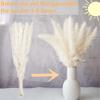 110 PCS Dried Pampas Grass Bouquet, Boho Table Decor, Bunny Tails Dried Flowers, Brown Pompas, White Pampas Grass for Wedding, Home, Rustic Party, Baby Shower Decorations view 4