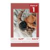 Poster Palooza 11x17 Mat Bevel Cut for 9.5x13 Photos - Acid Free Brick Red Precut Matboard - For Pictures, Photos, Framing - 4-ply Thickness view 1