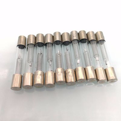 10pcs 0.8A 800mA 5KV Microwave Oven High Voltage Fuse