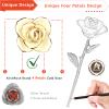 AliveRose 24K Gold Dipped Rose Made from Real Rose - Unique Design Dipped Rose for Anniversary Valentines Mothers Day Birthday Gifts (White with Stand) view 2
