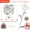 AliveRose 25th Anniversary Silver Rose for Wife - Unique Design Made from Real Rose for Anniversary, Valentine's, Mother's Day, Birthday Gifts (With Stand) view 2