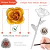 AliveRose Gold Rose Made from Real Rose - Unique Design Dipped Rose for Anniversary Valentines Mothers Day Birthday Gifts (Yellow with Stand) view 2