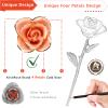 AliveRose Gold Roses, 24K Gold Rose Made from Real Rose - Unique Design Dipped Rose for Anniversary Valentines Mothers Day Birthday Gifts (Pink with Stand) view 2