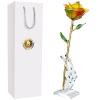 AliveRose for Wife, 24K Gold Rose Made from Real Rose - Unique Design 24K Dipped Rose for Valentines Mothers Day Birthday Gifts (Rainbow Rose with Stand) view 1