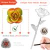 AliveRose for Wife, 24K Gold Rose Made from Real Rose - Unique Design 24K Dipped Rose for Valentines Mothers Day Birthday Gifts (Rainbow Rose with Stand) view 2