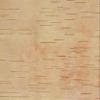 Bhojpatra , BHOJPATRA BARK Sheets , Betula UTILIS for Mantra Siddhi Wooden Yantra (23x 18cm) Wooden Yantra (Pack of light brown hiran150522-1 Bhojpatra big 23x18 view 2