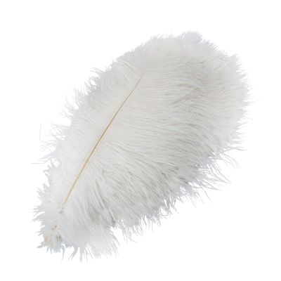 IMFILM 20 PCS Natural Ostrich Feather,White Feather Decoration Home Vase Decoration Banquet Party Props Stage Decoration Natural Feathers,18-20Inch